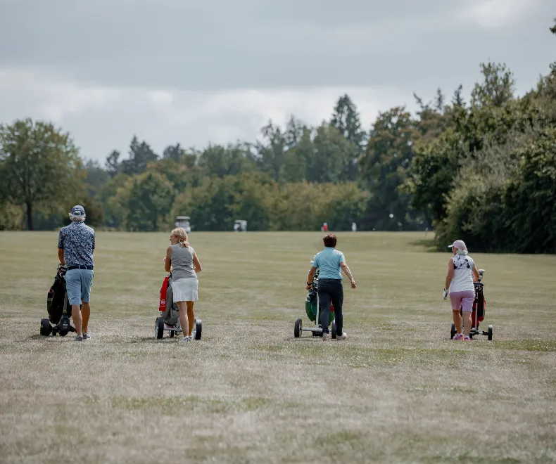 Aktuelle Daten und Fakten über Golf in Deutschland