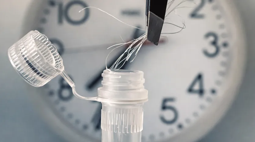 Charité-Forschende entwickeln neue Methode