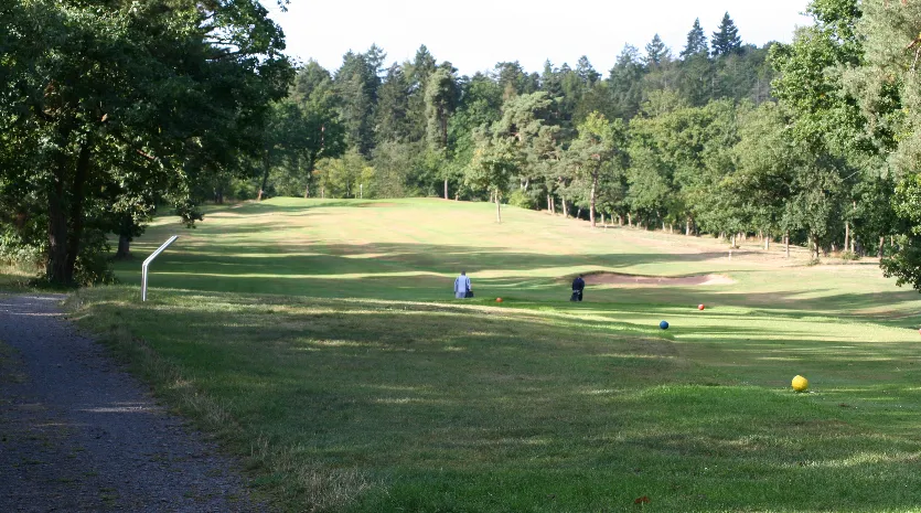 Warnung vor Eichenprozessionsspinnern im Bad Wildunger Golfclub