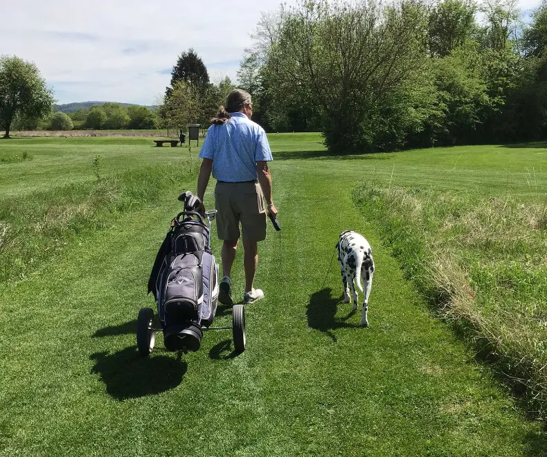 Hunde auf der Golfrunde? Ja, unbedingt!