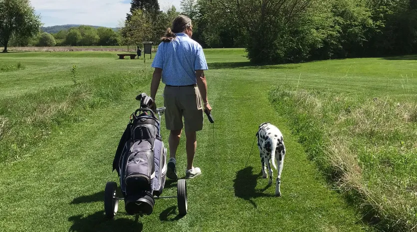 Hunde auf der Golfrunde? Ja, unbedingt!