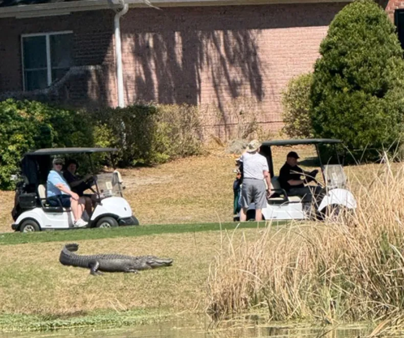 Reinhard Prison berichtet über das Golfparadies Myrtle Beach