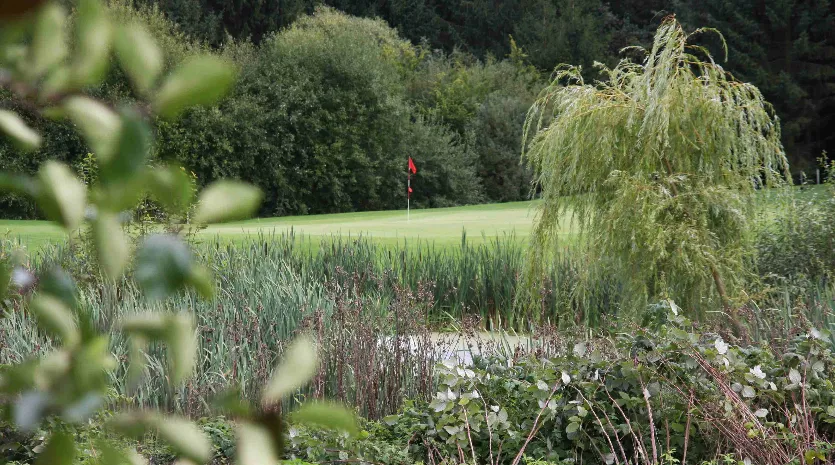 Golfen wird beim Schnuppertag zum Erlebnis