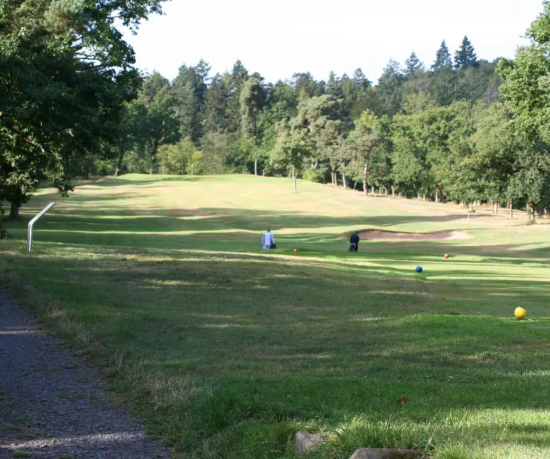 Warnung vor Eichenprozessionsspinnern im Bad Wildunger Golfclub