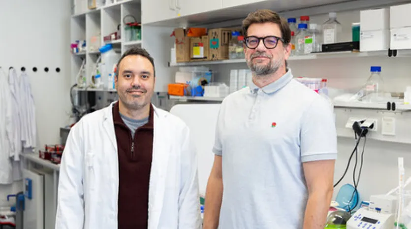 Internationale Forschungstalente bei der UMG?