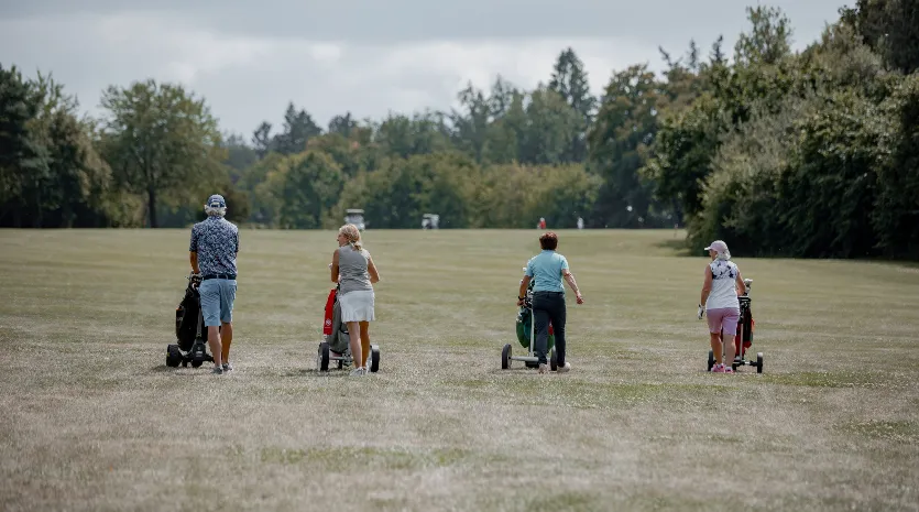 Aktuelle Daten und Fakten über Golf in Deutschland