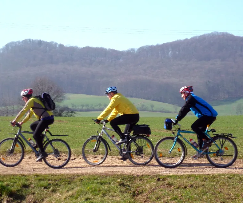 Move4Trees – Bewegung, die Wurzeln schlägt