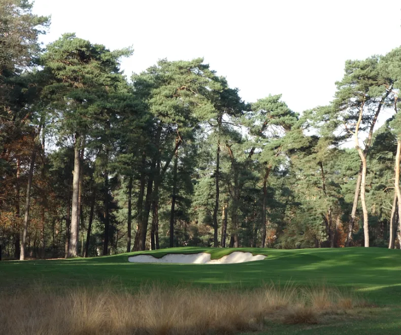 Premiere für den German Swing 2026 der Pro Golf Tour