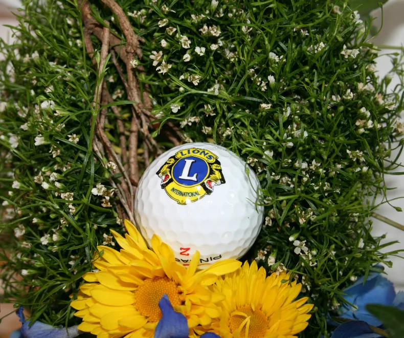 Kasseler Lions-Club lädt zum Charity-Turnier ein