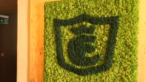 Logo grün: Die Zukunft der Marke vereint Tradition und Trend.