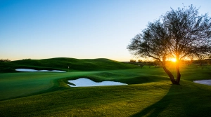 Umgeben von der majestätischen Sonoran-Wüste und den McDowell Mountains, bietet TPC Scottsdale nicht nur anspruchsvolles Spiel, sondern auch atemberaubende Ausblicke.